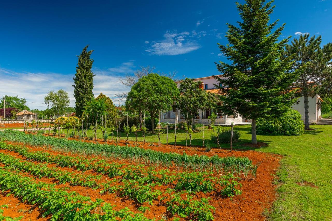 Apartmani Martina Porec Esterno foto